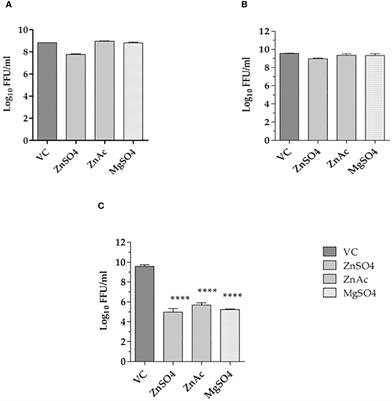 Explorations on the antiviral potential of zinc and magnesium salts against chikungunya virus: implications for therapeutics